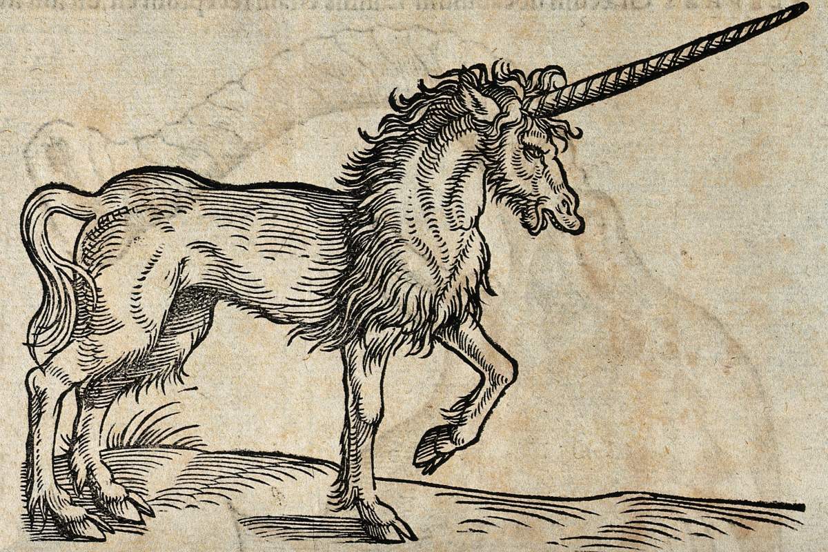 A 14th century woodcut depicting a unicorn with a very long horn, the tail of a cat, and goat-like feet.