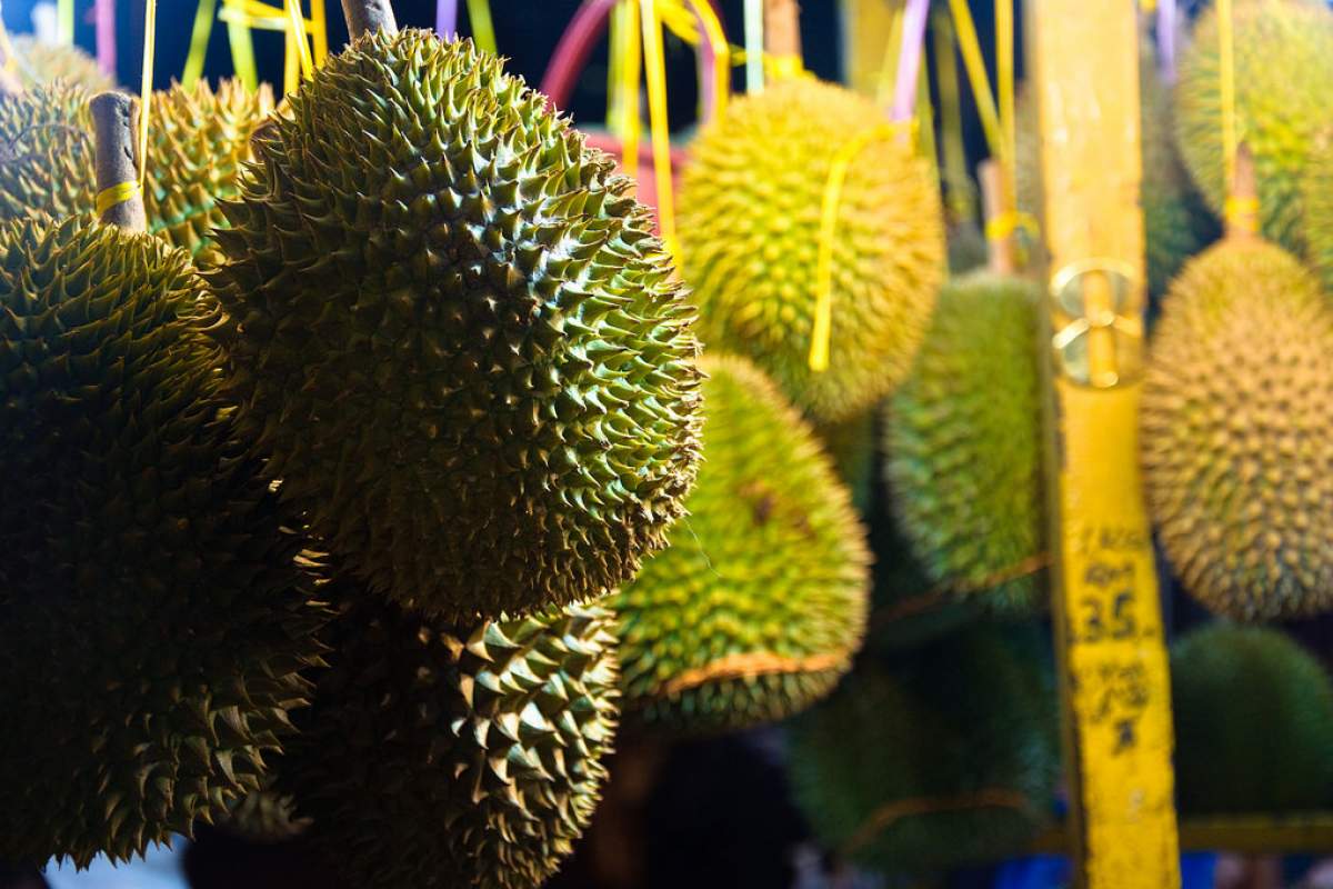 Durians (Jasin Bushanaief, Flickr)
