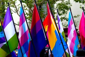 LGBT+ pride flags.