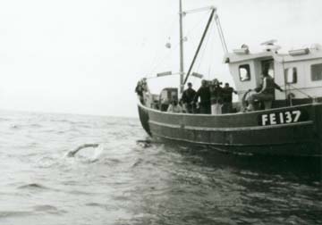 Doc is dwarfed by the escort boat and the broad horizon.