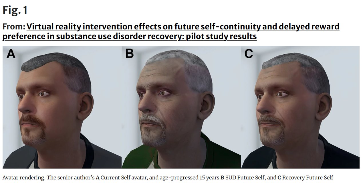Figure 1 Avatars