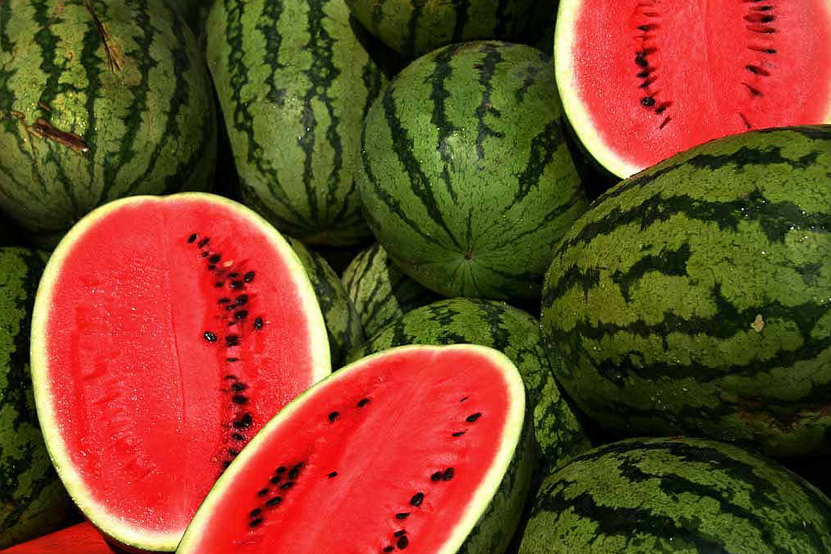 Are Watermelon Seeds Bad