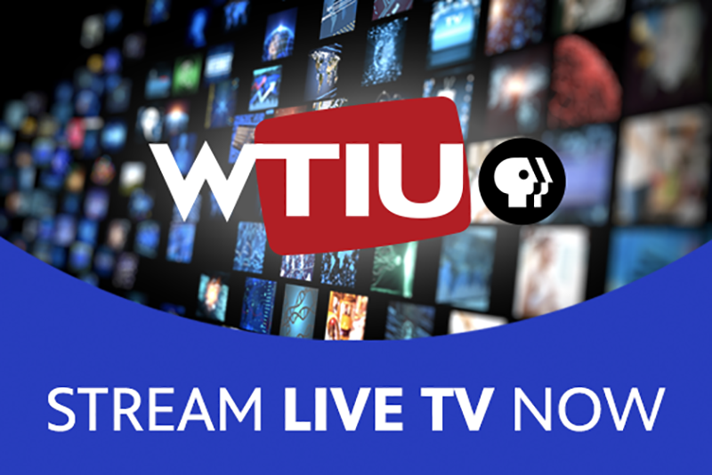 live tv streaming sites