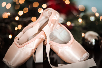 Ballet Slippers