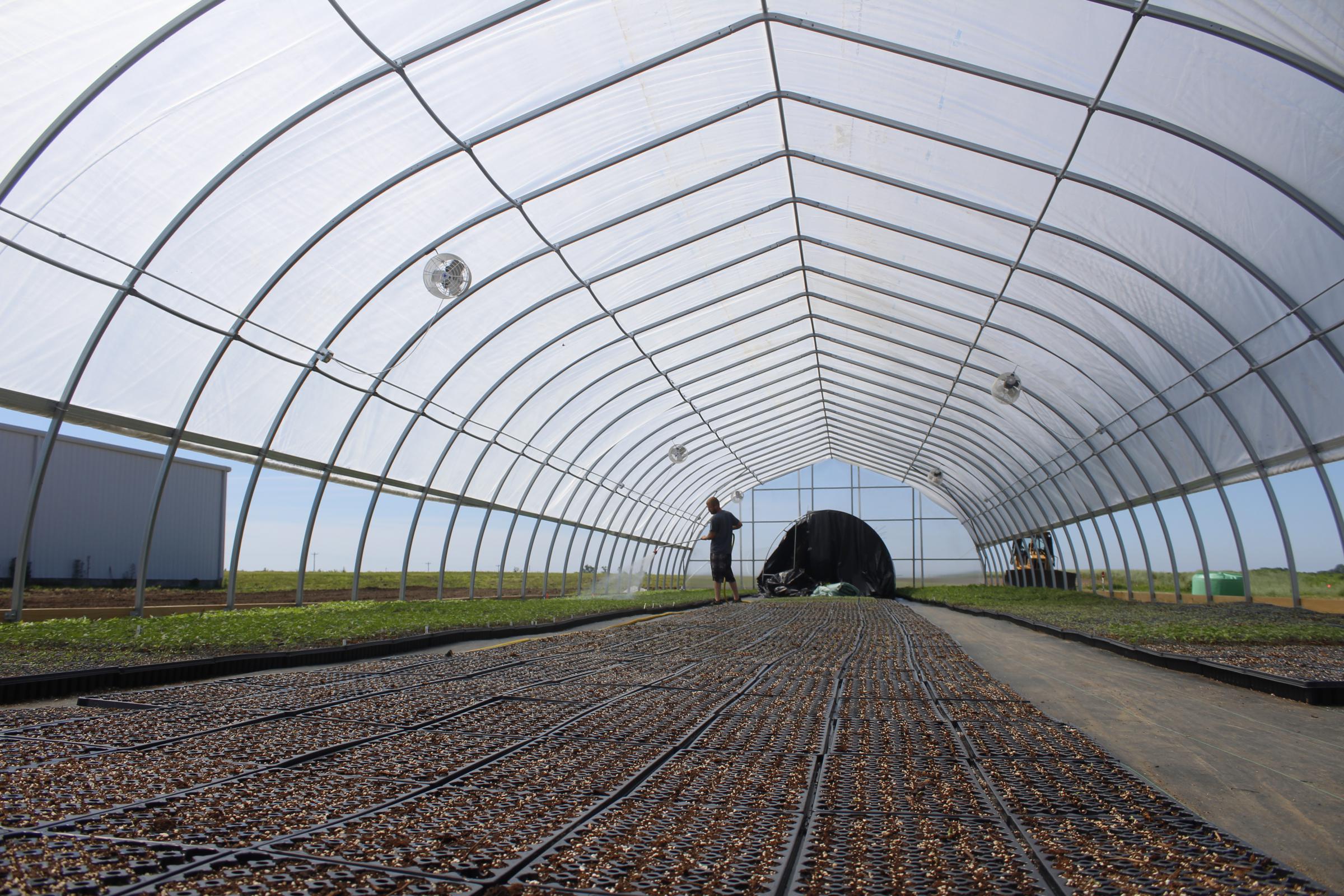 A large hoop house with a floor full of seedling flats.