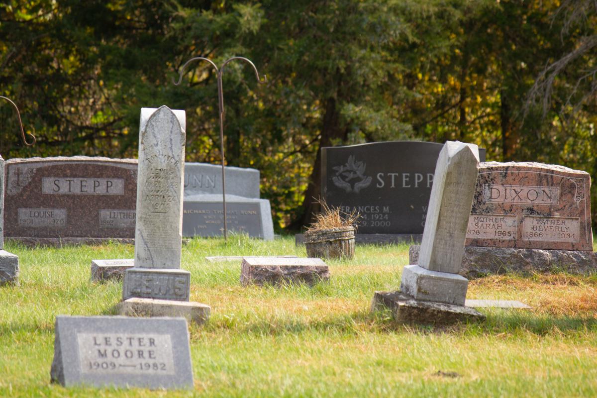 gravestones in a cemetary, including some with the name Stepp