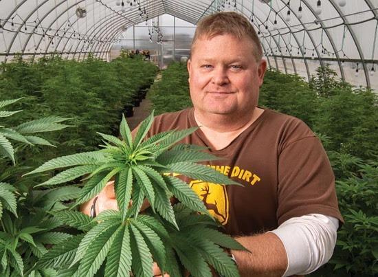 Andy Huston standing in a high tunnel holding a large hempl plant looking at the camera. Green plants fill the background