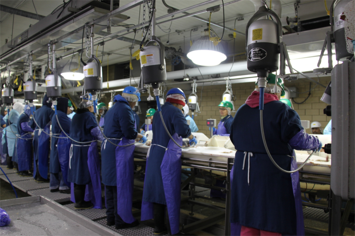 Workers in blue uniforms and protective gear at an assembly line at a chicken processing plant.