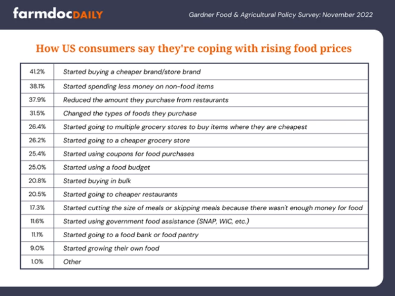 Results of a study showing how consumers are coping with rising food prices