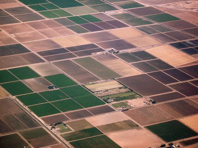 Aerial view of cropland patchwork