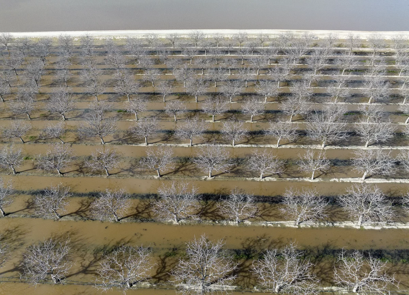 Floodwater diverted into agricultural land
