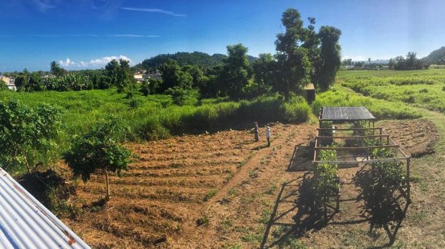 View from above of a portion of Güakiá farm in Puerto Rico.