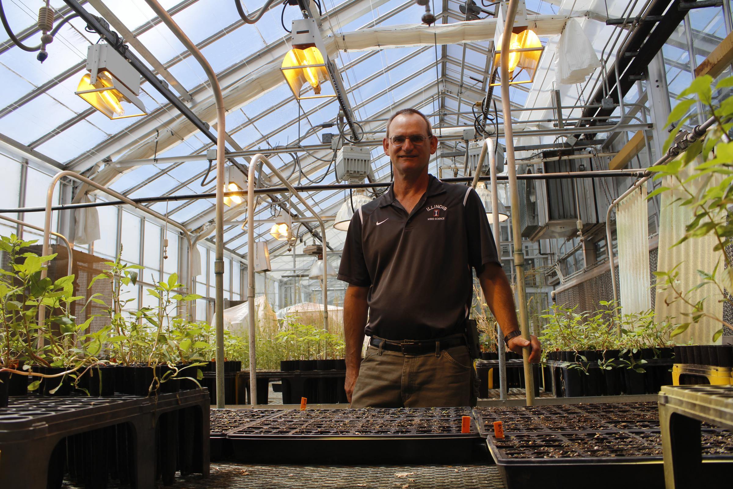 Man standing in a greenhouse in front of a flat of seedlings.