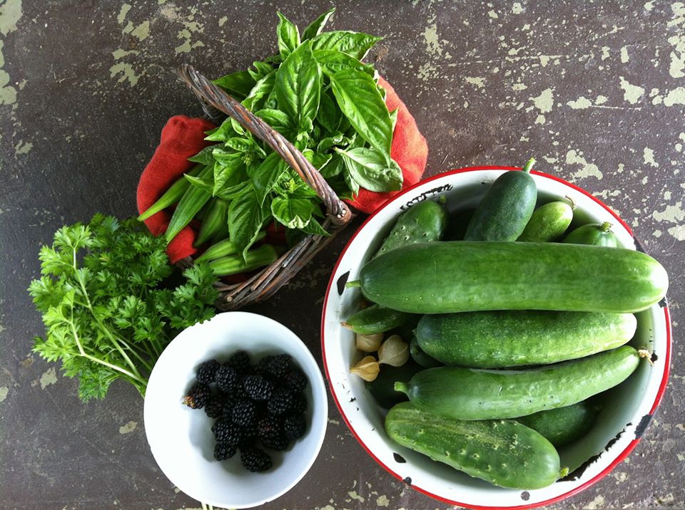 vegetables and fruits in bowls and a basket, overhead view, cucumbers, basil, blackberries, okra