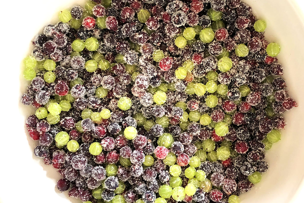 Green and purple berries in a white bowl coated in sugar