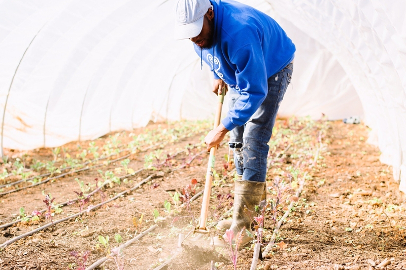 a young African-American man tilling the soil 