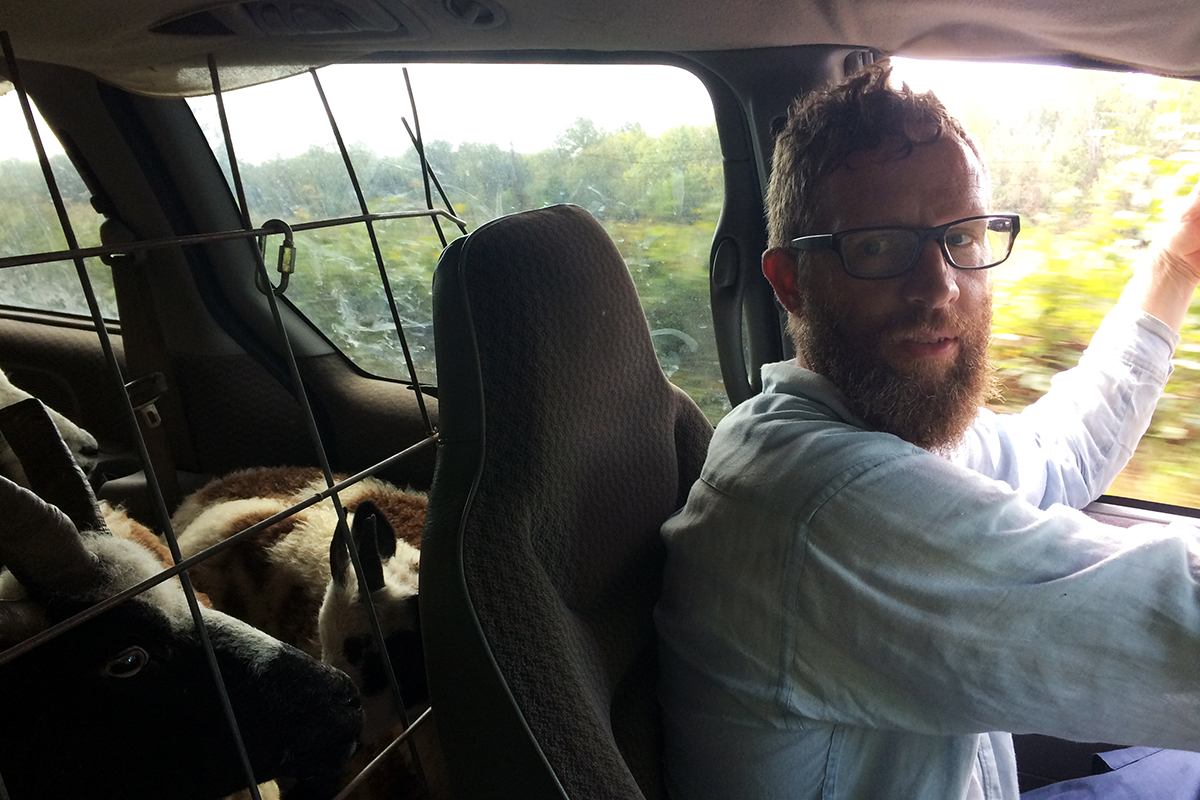 Bearded white man in driver's seat, sheep behind metal grate, visible behind front seat