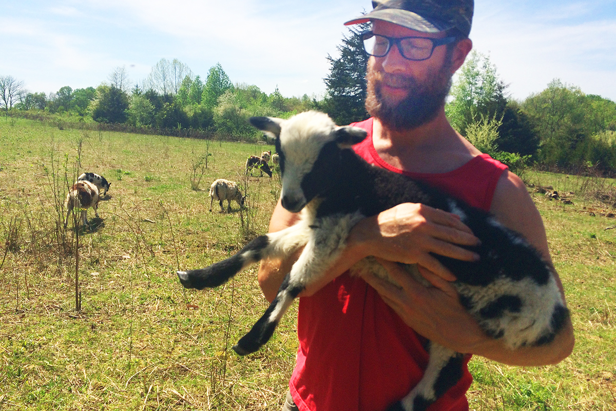Brett Volp holding black and white lamb, with sheep grazing on pasture in the background.