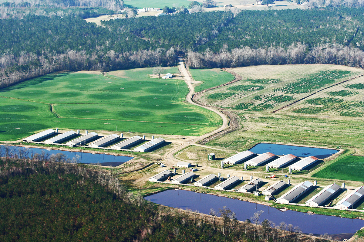 Overhead, distanced veiw of long warehouses and rectangular ponds in a valley.