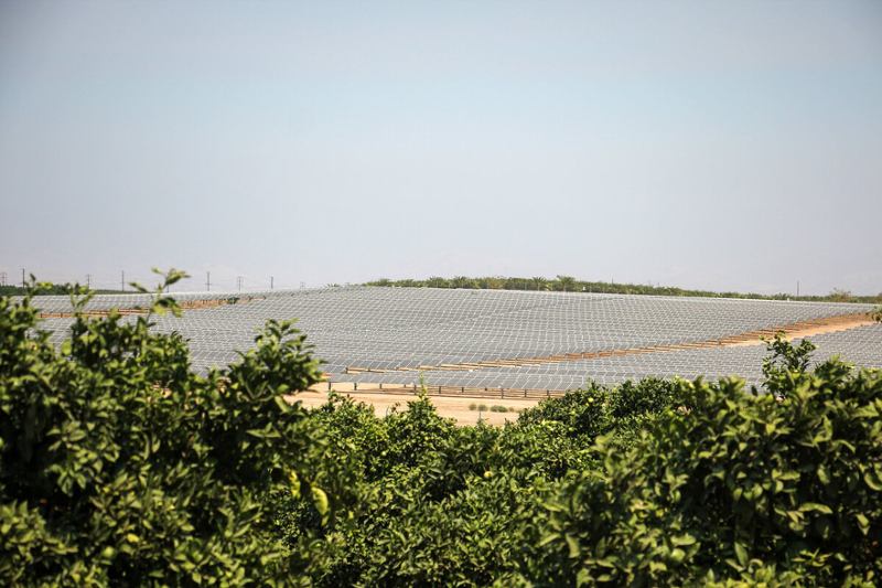 Solar farms that have replace crop fields 