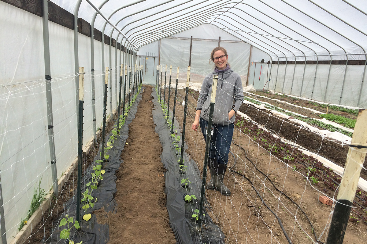 Candace Minster standing inside a hoophouse next to a row of young cucumber plants with a string trellis