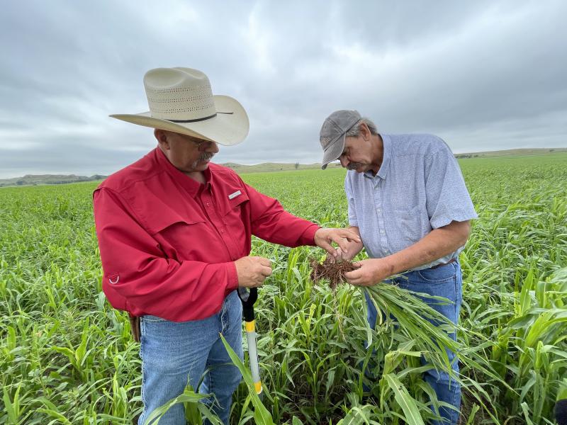 farmers in a field