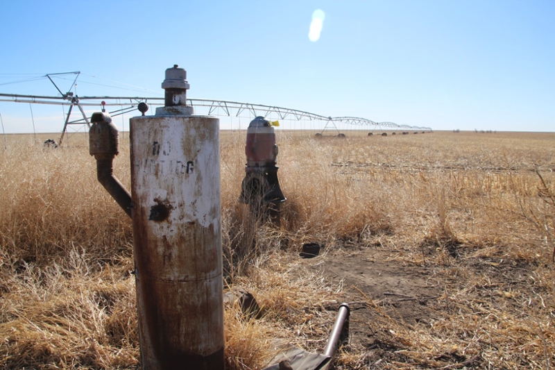 A field that is experiencing extreme drought in Morton County