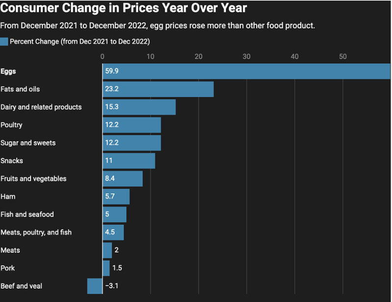 Chart of changing consumer prices for the last year 