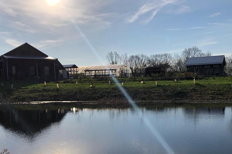 Landscape with barn and hoophouse reflecting in pond and sun beam cutting across the image