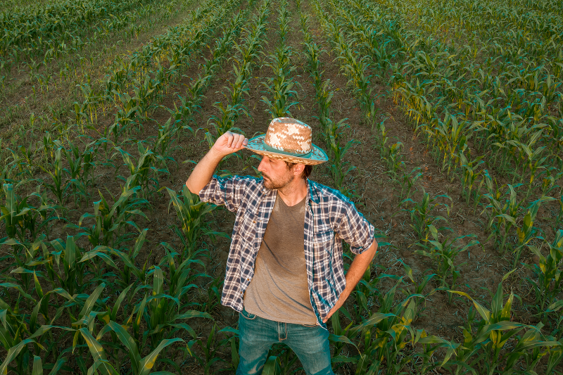 Farmer standing in field of crops 