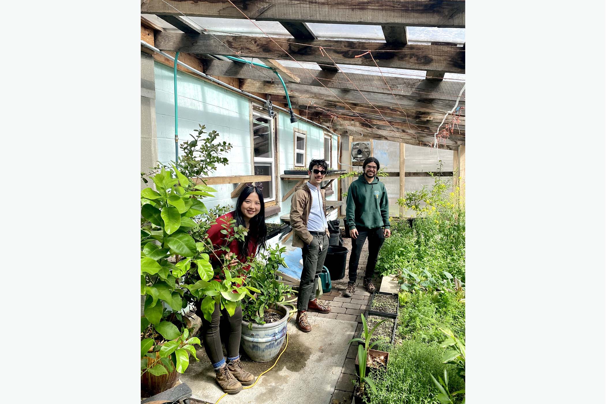 Ash Teng, Nic Garza and Enrique Hernandez standing in a staggered row inside a greenhouse, facing camera