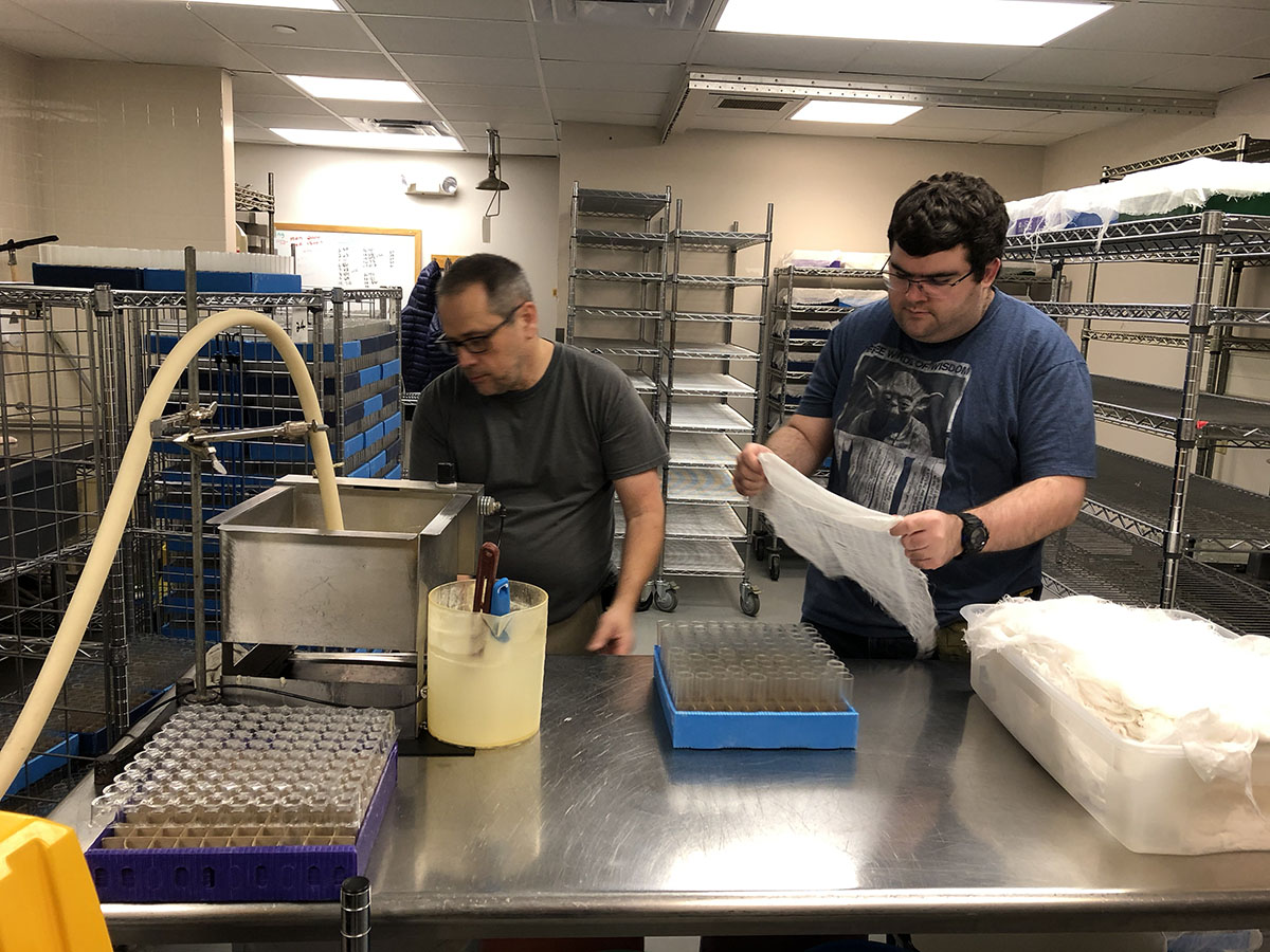 Kevin Gabbard and Iian Vollmann standing at a steel table with a machine in an industrial kitchen. Iian has a piece of cheesecloth in his hands