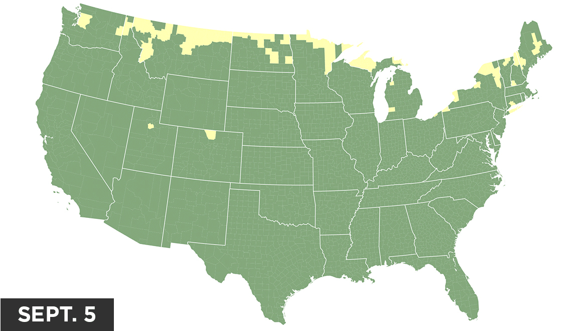 Map showing leaf color projections