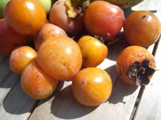 round orange fruit on a wooden surface in the sunlight