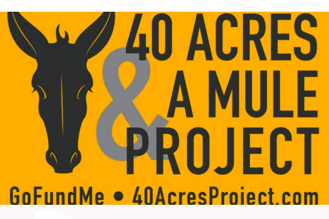 Yellow and black graphic with a mule's head and the words 'forty acres & a mule'
