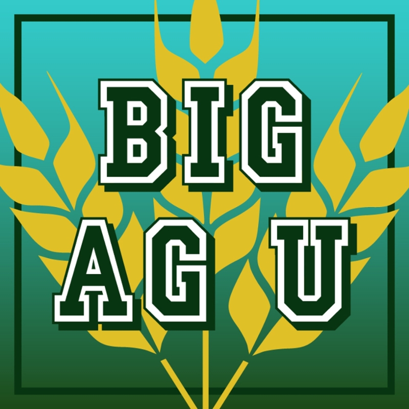 BIG AG U
