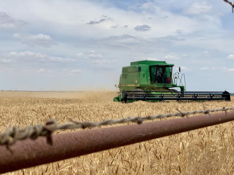 Out of focus barbed wire fence in foreground with mature wheat field and a green harvesting machine