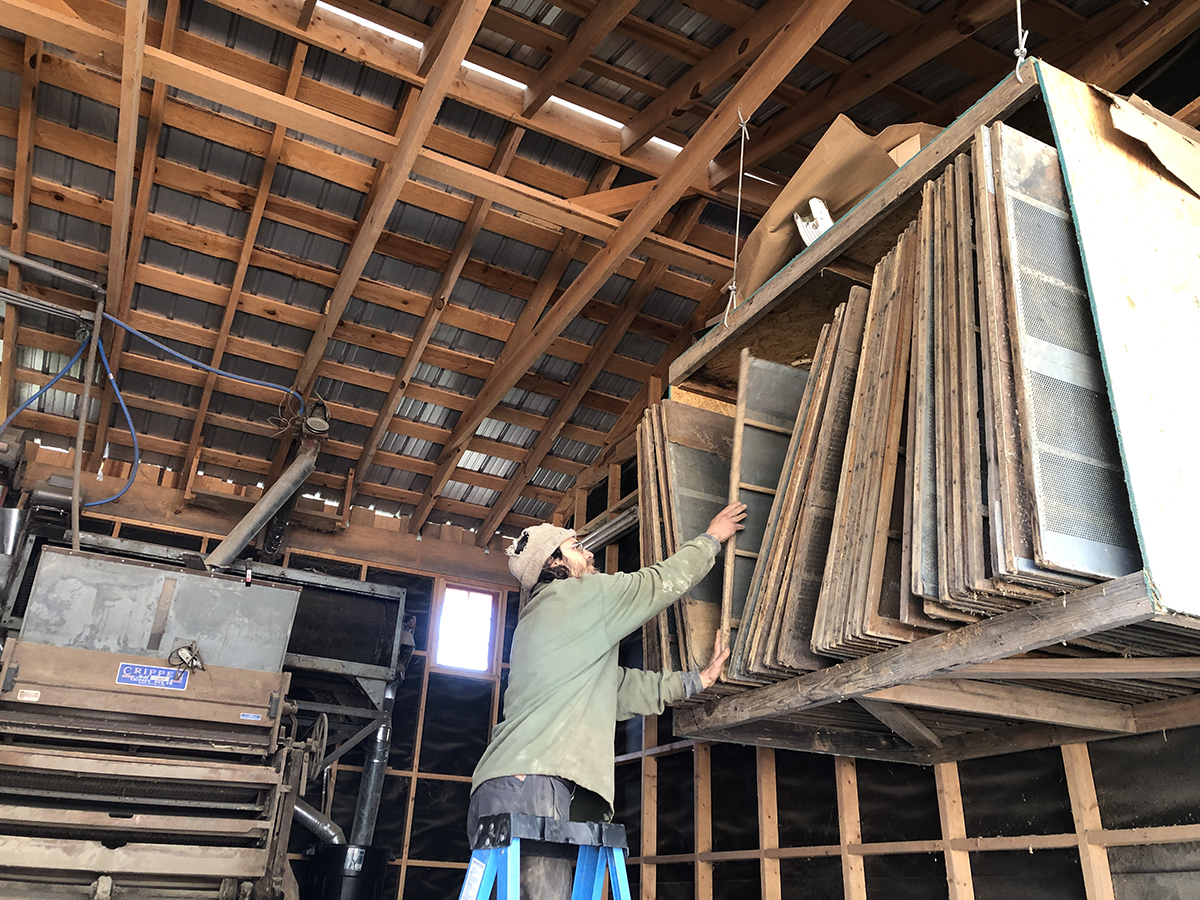 A man on a ladder in a wooden barn-like space, reaching up to pull a wooden framed screen from a rack.