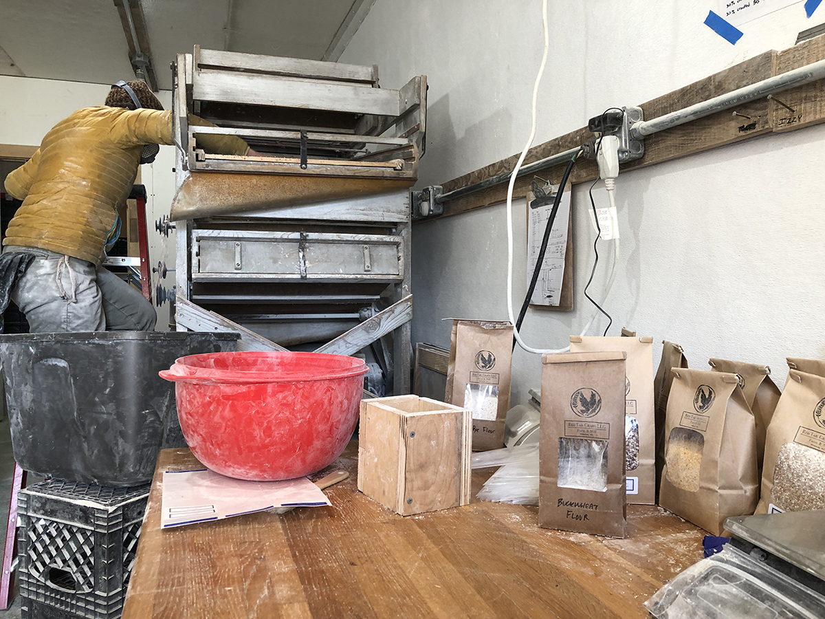 A person with a dust mask reaching into a large metal machine, in a room where most everything has a layer of white dust, a red bowl and bags of flour visible on a counter in the foreground.