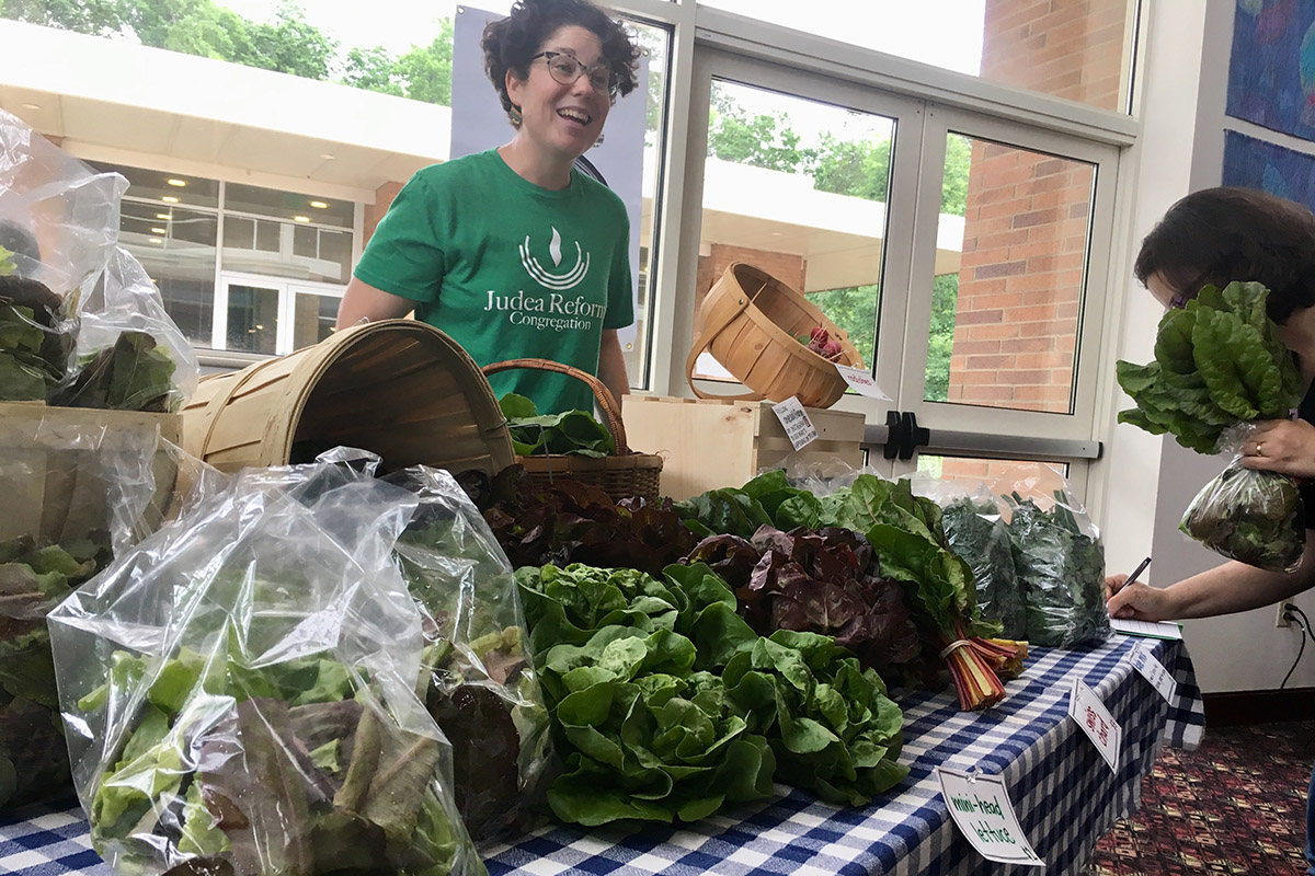 A woman wearing a Judea Reform Congregation t-shirt standing behind a table loaded with fresh lettuce (indoors).