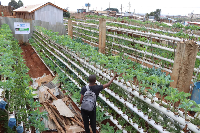 Kevin Albya working on an expanded urban farm
