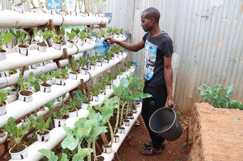 Kevin Abuya caring for plants