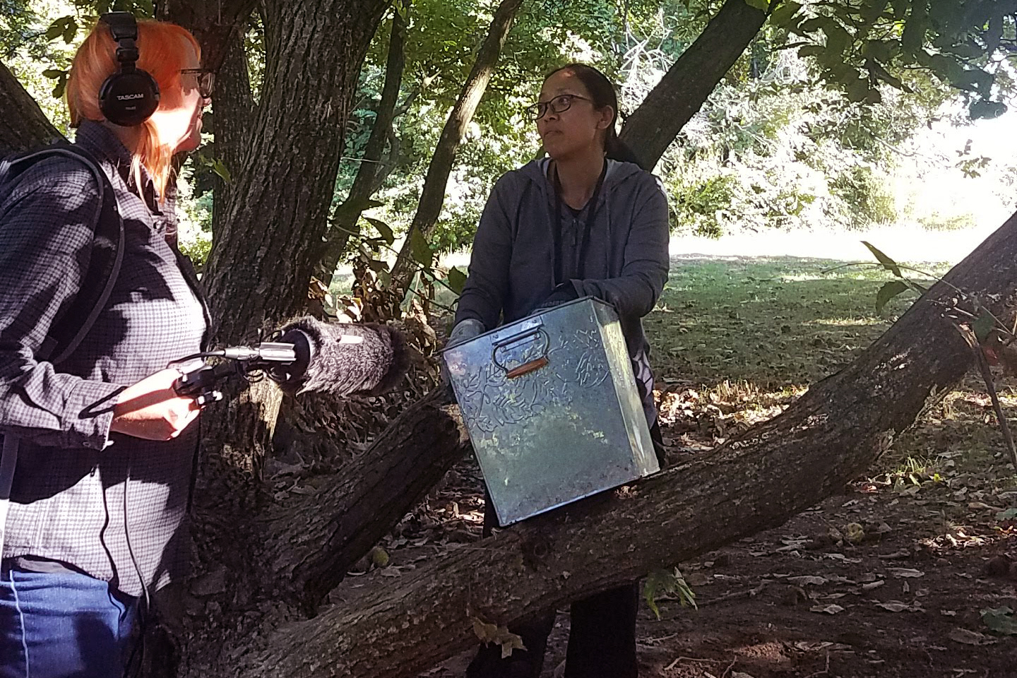 Linlin and Kayte standing under a tree, Kayte has microphone and headphones, Linlin has a metal box resting on large tree branch