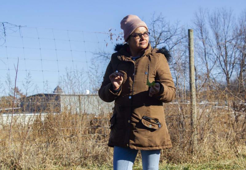 woman sampling lettuce