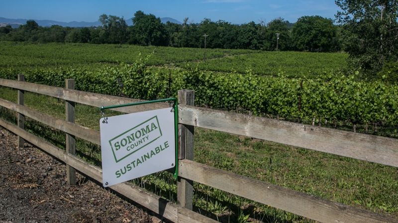 a Sonoma Sustainable sign