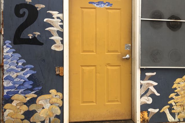 A yellow door and gray walls of an outdoor building with various musrooms painted on the walls