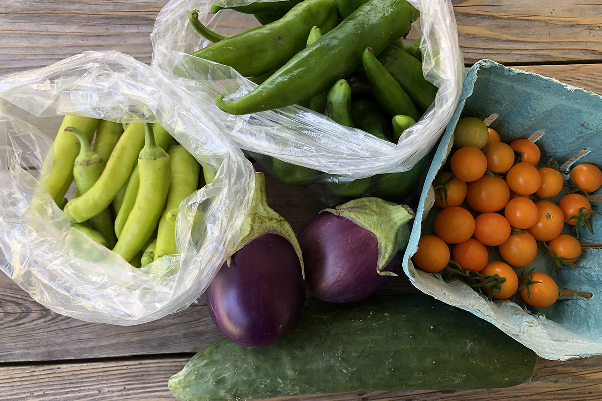 Green peppers in clear plastic bags, eggplant, cucumber and yellow cherry tomatoes on a wooden table.