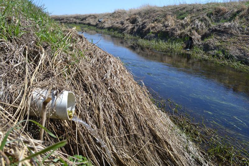 A view of a grassy river bank with a white pipe and water flowing into the river.