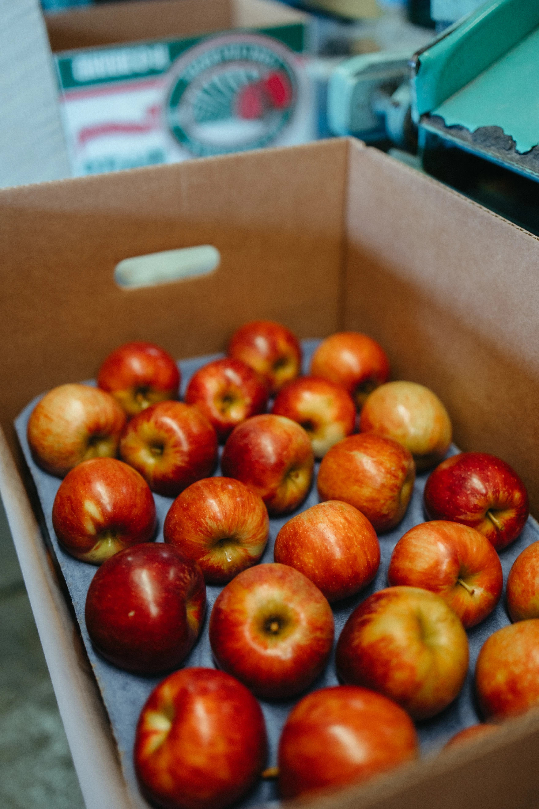 A crate of apples