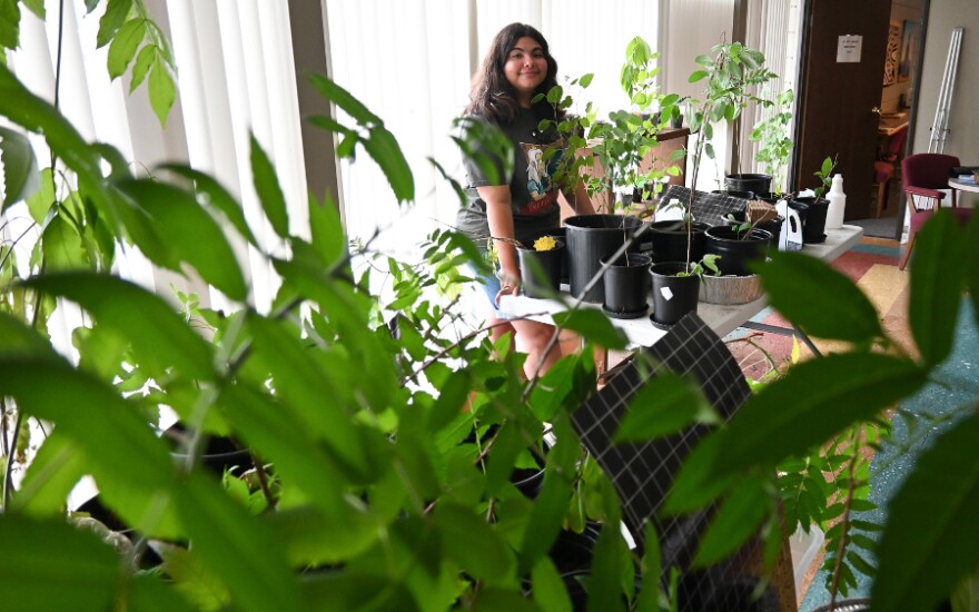 Jojo Blackwood standing at a table with many potted plants, and greenery in the foreground